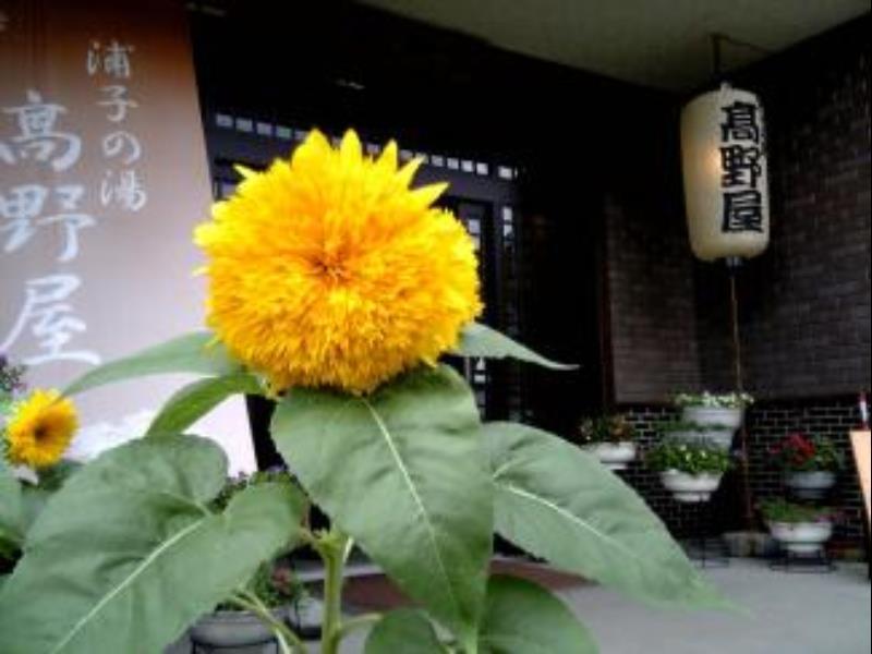 Takanoya Yuzawa  Extérieur photo